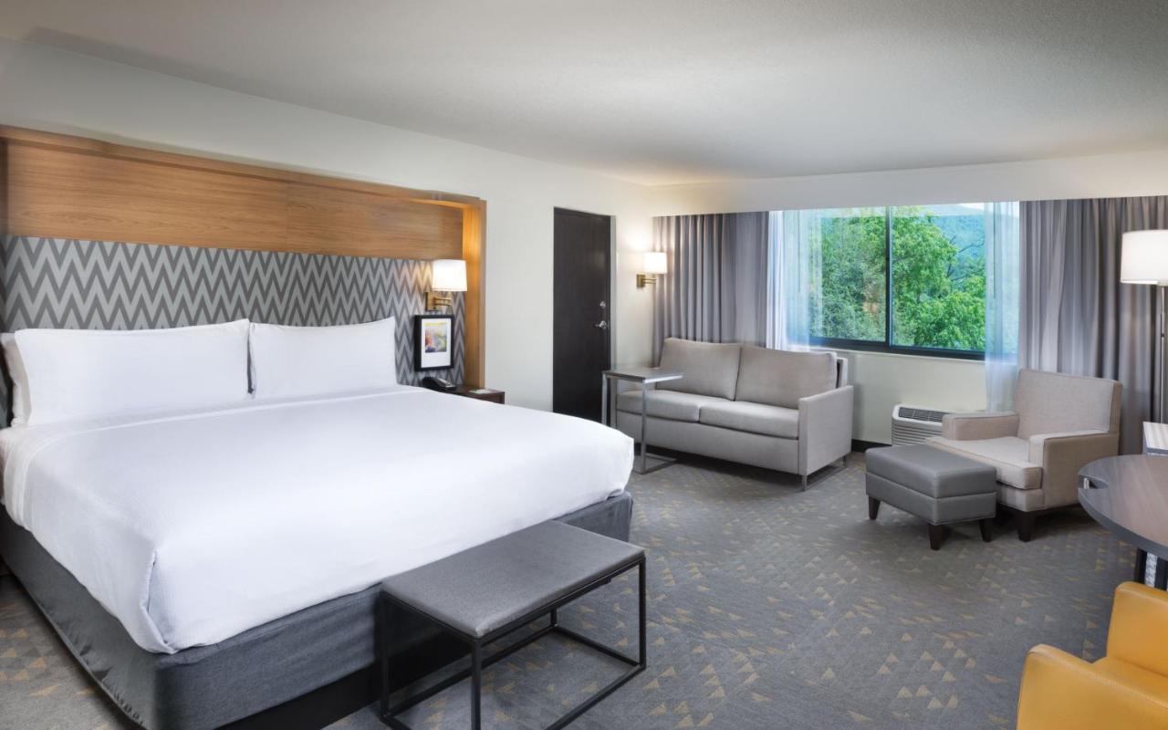 Holiday Inn Asheville East-Blue Ridge Pkwy By Ihg Ngoại thất bức ảnh