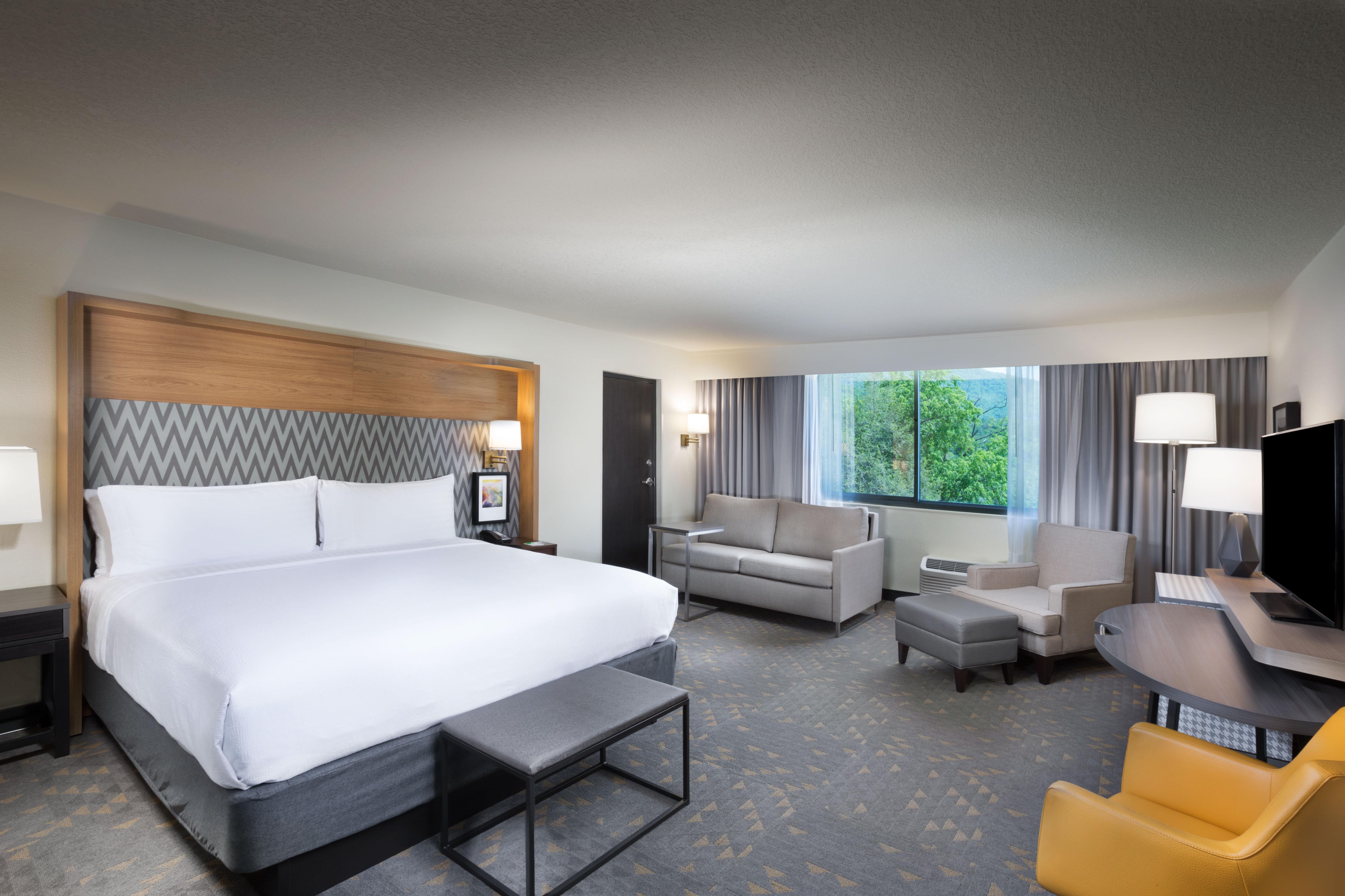 Holiday Inn Asheville East-Blue Ridge Pkwy By Ihg Ngoại thất bức ảnh