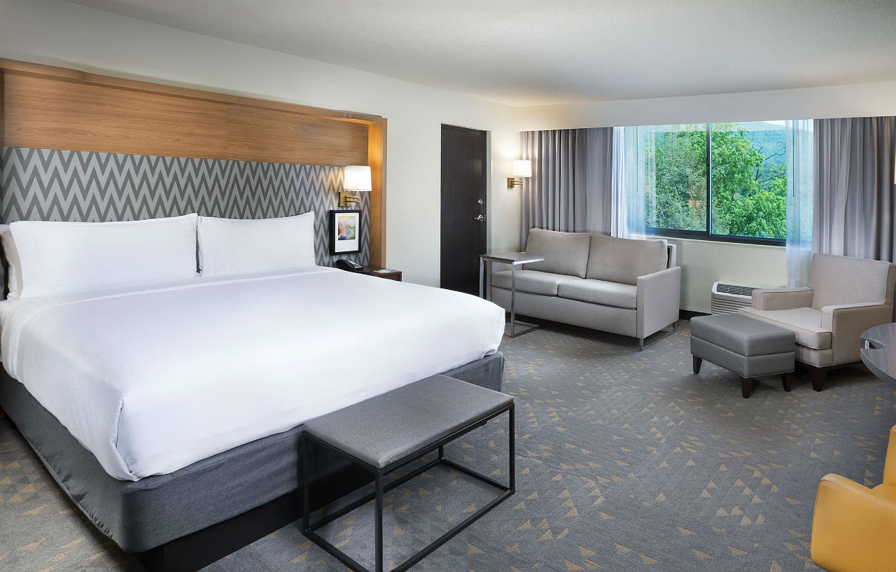 Holiday Inn Asheville East-Blue Ridge Pkwy By Ihg Ngoại thất bức ảnh